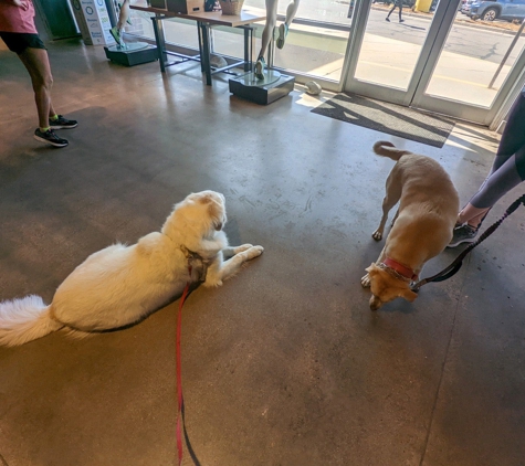 Boulder Running Co Tech Center - Greenwood Village, CO