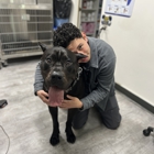 VCA McClave Animal Hospital