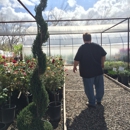 A & P Nursery - Nurseries-Plants & Trees