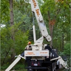 Alpine Tree Experts Inc