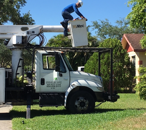 Affordable Tree Service, Inc. - Miami, FL