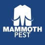 Mammoth Services