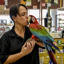 Cockatoo Golden - Pet Services