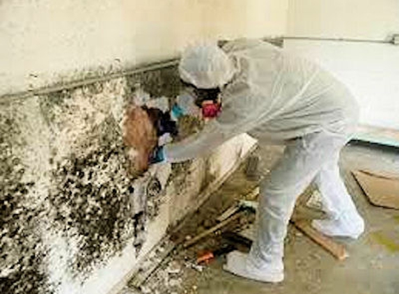 Innovative Cleaning & Restoration LLC - St Louis, MO