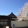 Shofuso Japanese House and Garden gallery