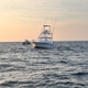 Full Contact Fishing Charters