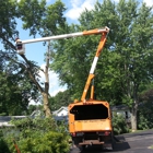 Madsaw Tree Service LLC