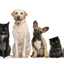 Beverly Animal Hospital - Veterinarian Emergency Services