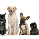 Briarwood Animal Hospital - Pet Services