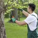Tony J. Bricker Tree Service - Arborists