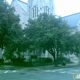 Brown Memorial Park Ave Presbyterian Church