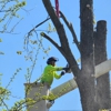 Gray's Outdoor Services gallery