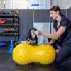 TotalFit Animal Rehabilitation and Sports Medicine gallery