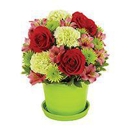 Father Of The Bride Floral Company - General Merchandise