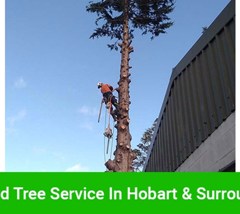 Horizon Tree Service - Lutana, TAS. Trusted Tree Service In Hobart & Surrounding