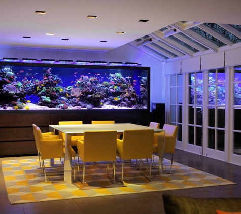 Exotic Aquatic - Naples, FL. Custom reef aquarium Naples Fl.