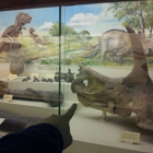 Ku Natural History Museum