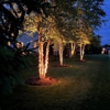 Blingle Premier Lighting of Indianapolis gallery