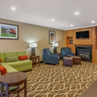 Comfort Inn & Suites North Dallas-Addison