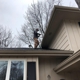 Genuine Pest Control