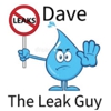 Dave The Leak Guy gallery