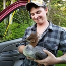 JACOBS Critter Extreme Nuisance Animal Control llc - Pest Control Services