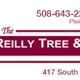 Reilly Tree & Landscape