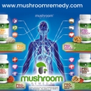 Mushroom Remedy LLC - Vitamins & Food Supplements