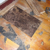 Gallery Image Number 6