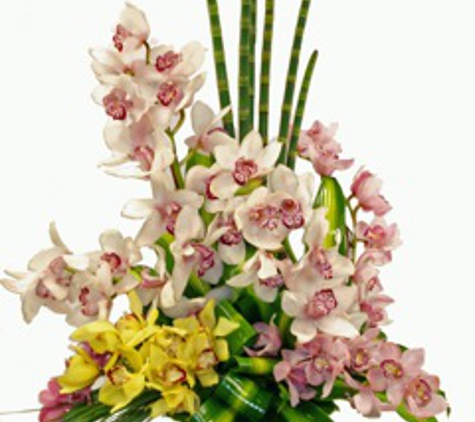 Trias Flowers and Gifts - Miami, FL