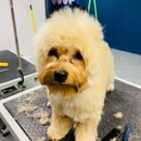 Pet, Rinse, Repeat Grooming, Mobile, Salon & Boarding - Pet Grooming