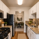 Chesapeake Glen Apartment Homes - Apartments