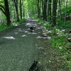 Mohonk Preserve