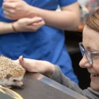 Healing Paws Veterinary Clinic