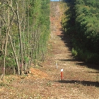 Ortega Land Clearing, LLC