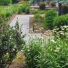 DELIS Landscaping gallery