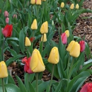 Trails Recreation Center - Tourist Information & Attractions