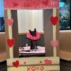 VCA Santa Margarita Animal Hospital
