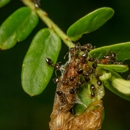 Best Bee Brothers - Pest Control Equipment & Supplies