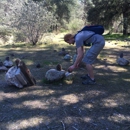 Pinnacles National Park - Parks