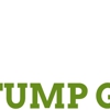 Bushey's Stump Grinding gallery