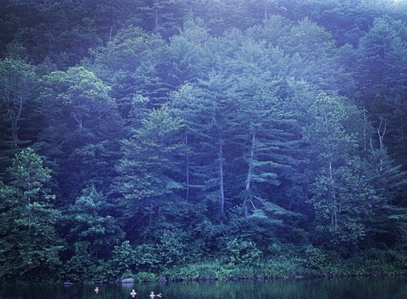 Cedar Run Inn - Cedar Run, PA