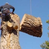 Osorio Landscaping and Tree Services gallery
