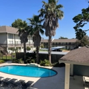 Acadian Oaks Apartments - Apartments
