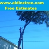 Aldine Tree Services Houston Stump Grinding gallery