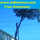 Aldine Tree Services Houston Stump Grinding