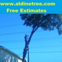 Aldine Tree Services Houston Stump Grinding