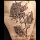 Black and Blue Tattoo