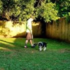 Citizen Canines