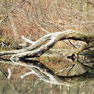 Frozen Motion Photography - Bay Shore, NY